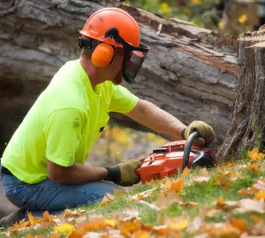 tree services Thiells